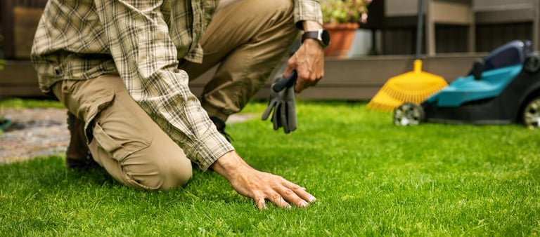 Man touch perfect green grass with hand